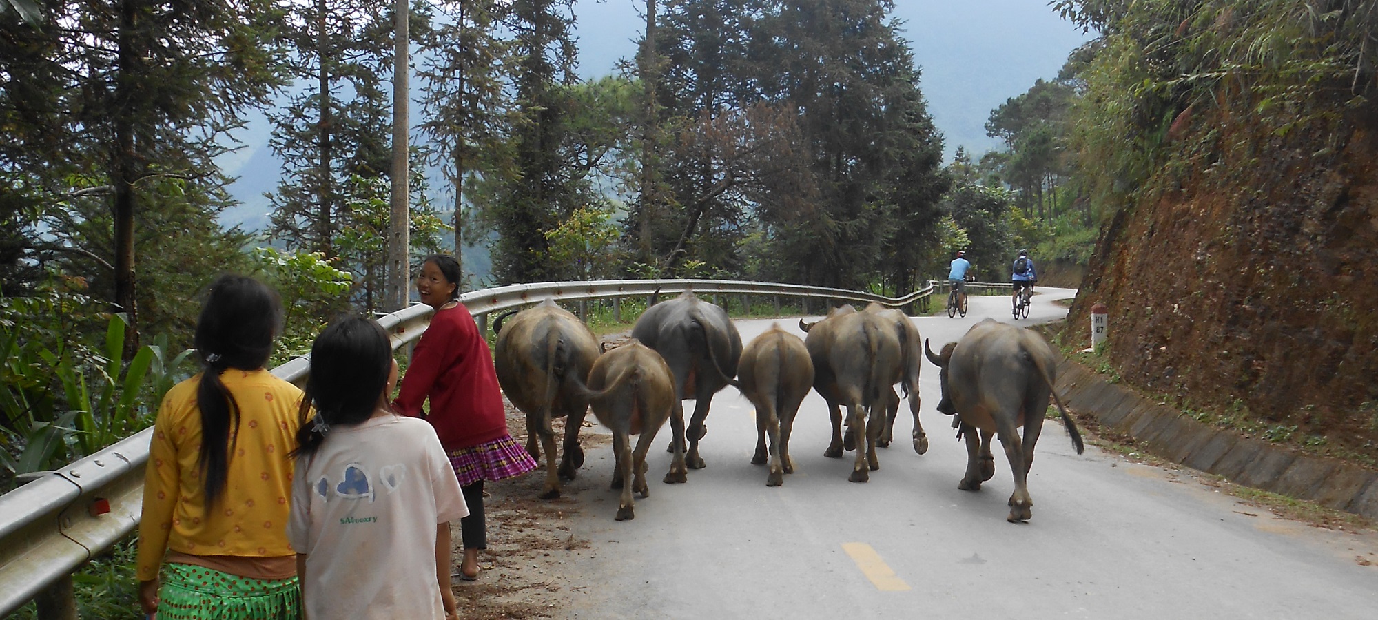 Vietnam Cycling Tours
